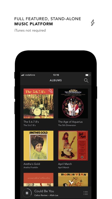 Voltra Music Player screenshot 2