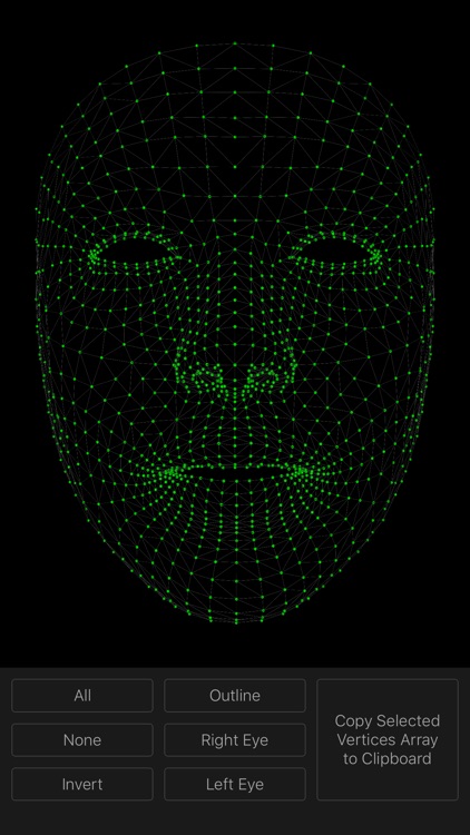 Face Mesh