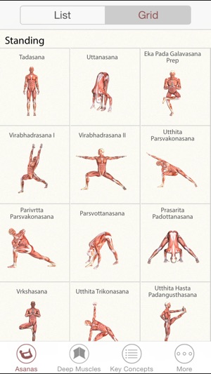 3D Yoga Anatomy(圖4)-速報App