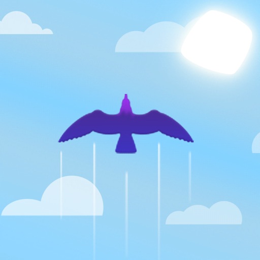 Sky Zoom iOS App