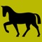 How well do you know horse breeds