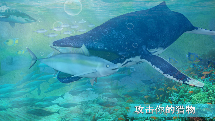 蓝鲸生存挑战模拟器游戏: 愤怒的鲨鱼攻击进化 screenshot 2