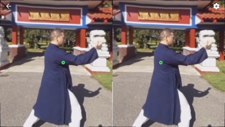 Tai Chi Trainer XR screenshot-3