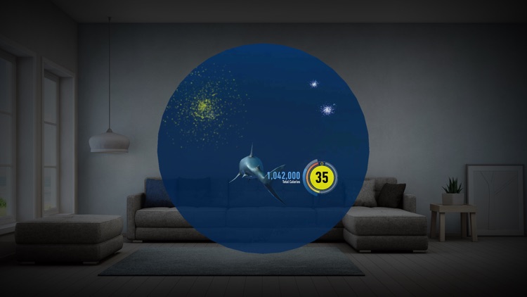 Discovery鲨鱼周 AR