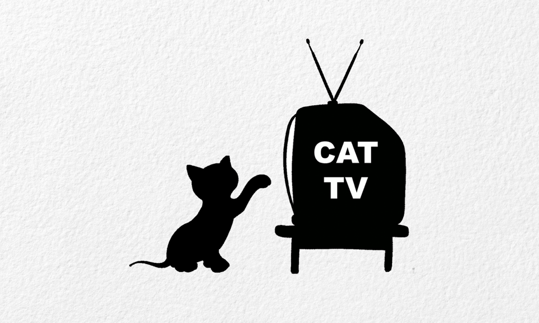 cat tv the ultimate tv for cats on the app store cat tv the ultimate tv for cats on the app store