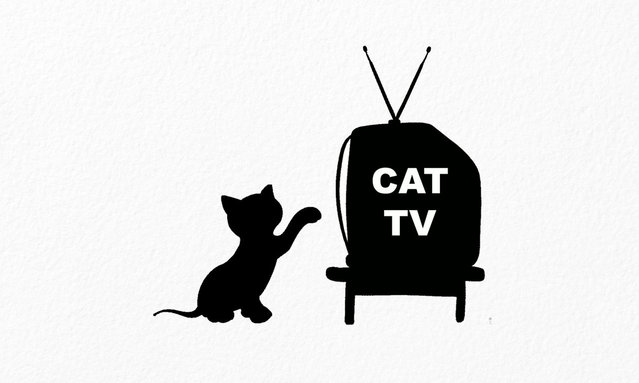 Cat TV - The Ultimate TV for Cats