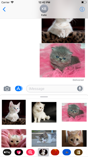 Kitten Sticker Pack(圖5)-速報App