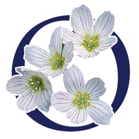 Oxalis Osteopathy pour PC