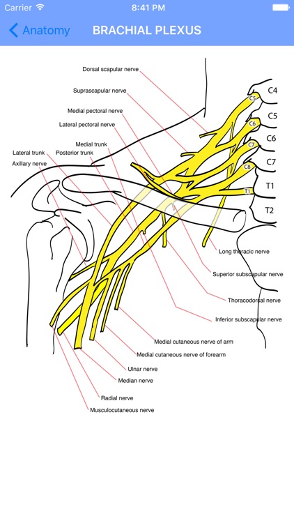 Oracle of Neurology and Neurosurgery screenshot-4