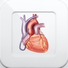 Top 28 Reference Apps Like 1000 Heart & Coronary Disease - Best Alternatives