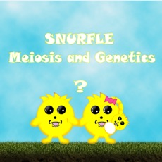 Activities of Snurfle Meiosis
