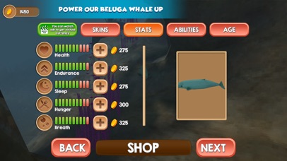 Beluga Whale Simulator screenshot 3