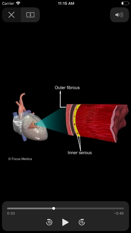 HEART -  Digital Anatomy screenshot-4