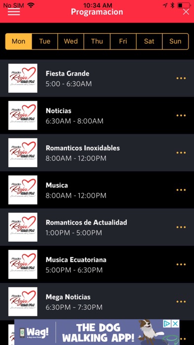 Radio Roja Canar screenshot 3