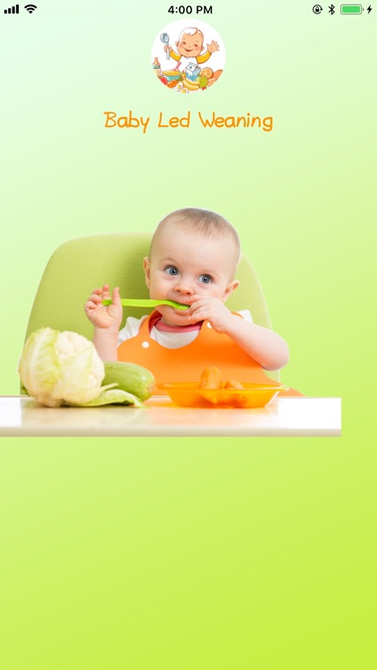 Baby Led Weaning