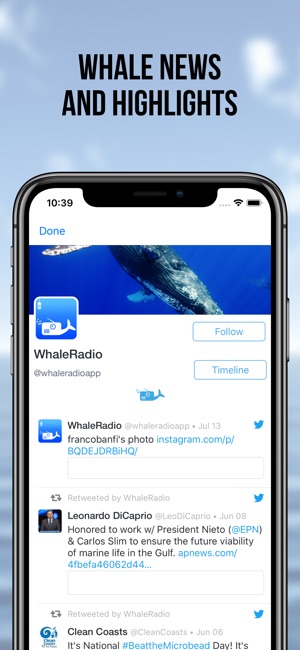 Whale Radio(圖4)-速報App