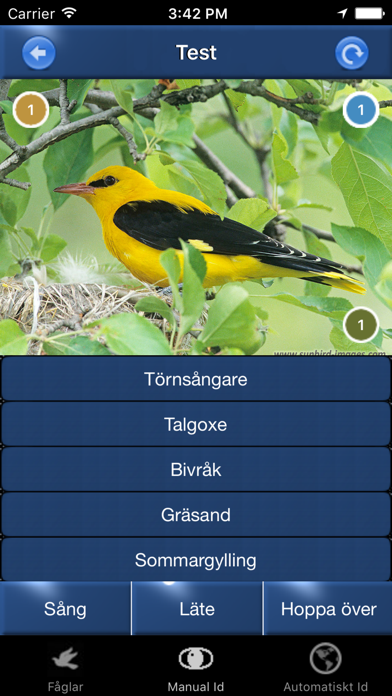 Fågelsång Id  - automatisk identifiering av fåglar Screenshot 4