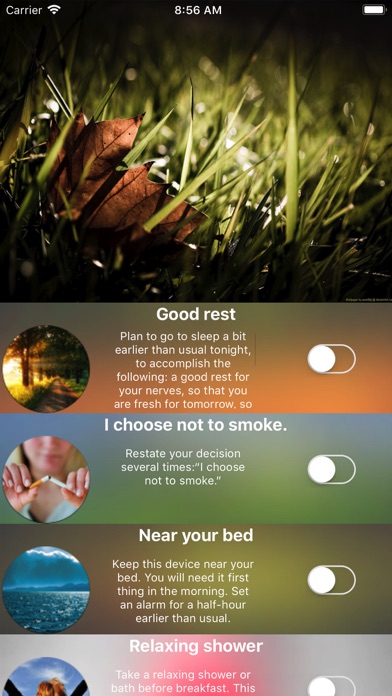 Quitting Smoking App screenshot 2