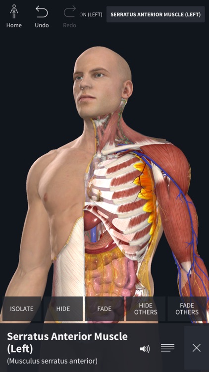 Complete Anatomy 2019: Mobile screenshot-0