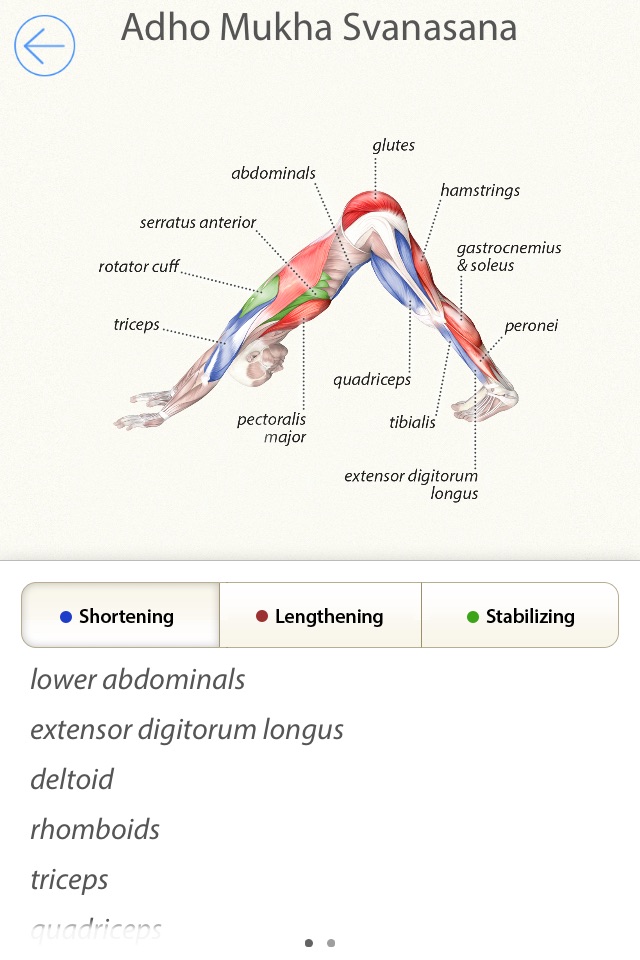 3D Yoga Anatomy Lite screenshot 4