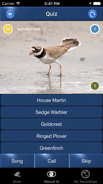 Bird Song Id Netherlands - Automatic Recognition screenshot-4