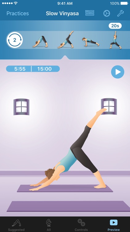 Pocket Yoga Teacher