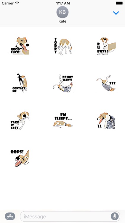 Whippet Dog - DogSport Sticker