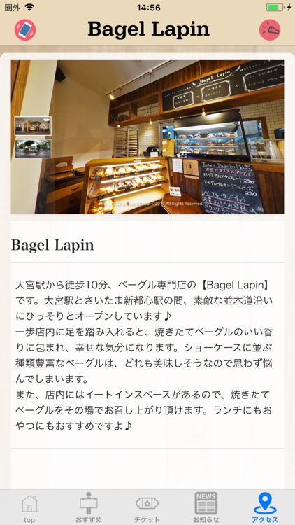 BagelLapin