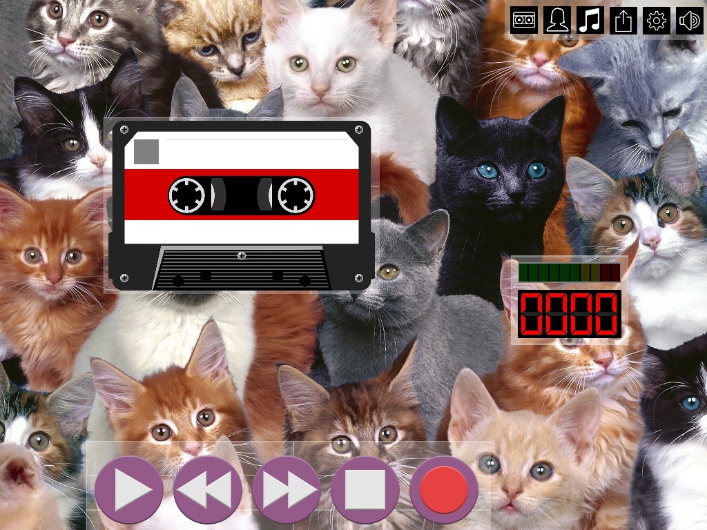 CatSynth Cassette screenshot 3