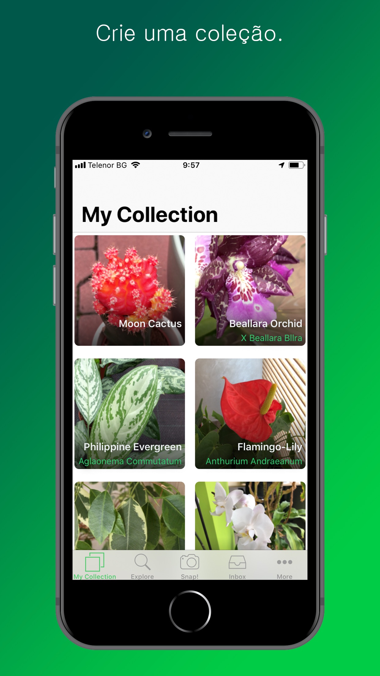 Screenshot do app PlantSnap Pro: Identify Plants