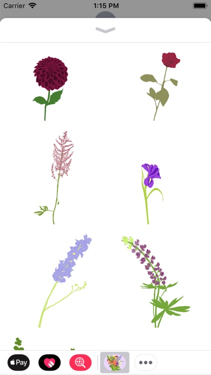Sticky Flowers: Favorites