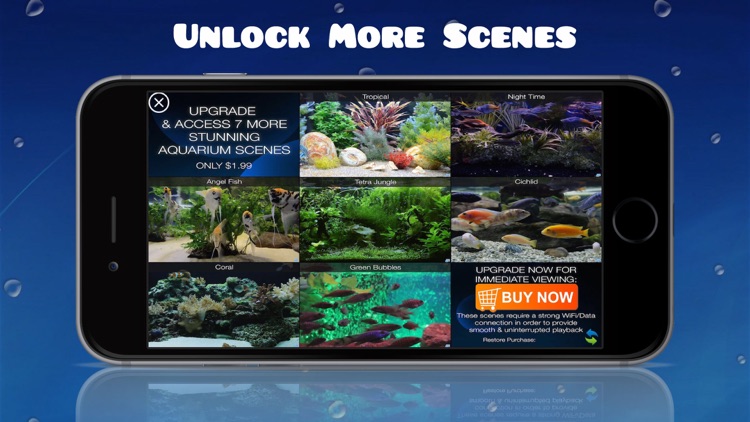 Aquarium HD : Fish Scenes