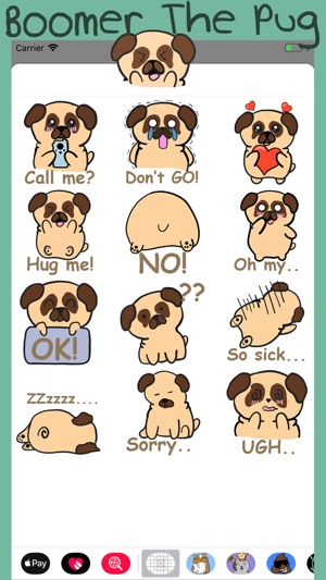 Boomer The Pug(圖2)-速報App