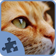 Activities of Cat and Kitten Jigsaw Puzzles