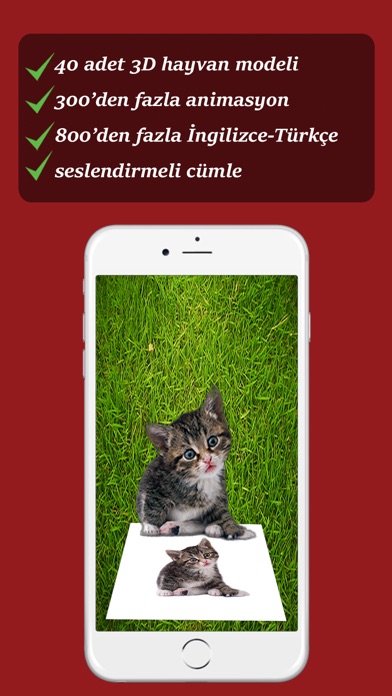 Magical Animals - 3D İngilizce screenshot 3