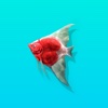 Dreamcatch - Fantasy Fishing Game & Aquarium