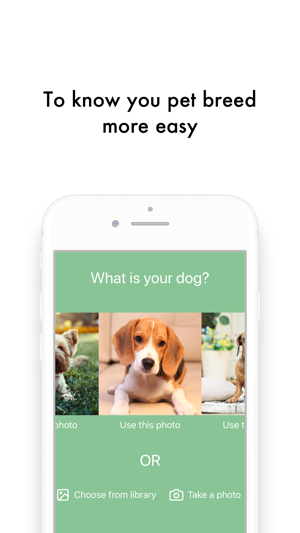 What Dog: What is your dog?(圖1)-速報App