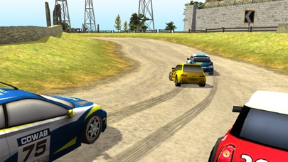 Dirt Rally Racing screenshot 3