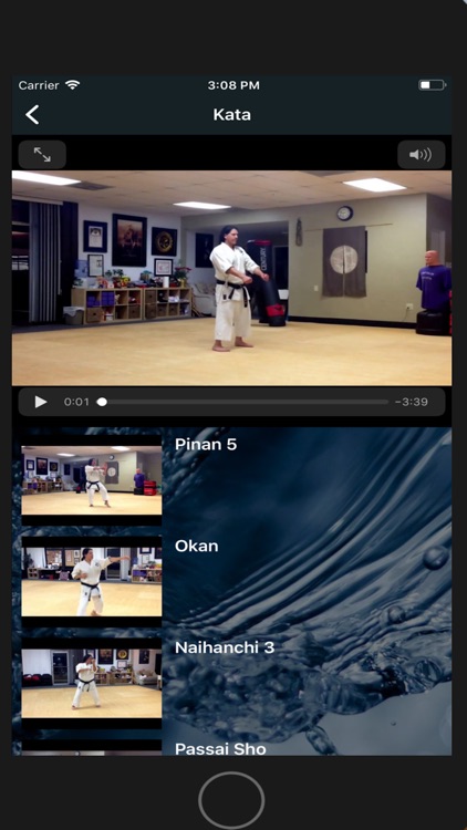 Kaizen Dojo screenshot-5