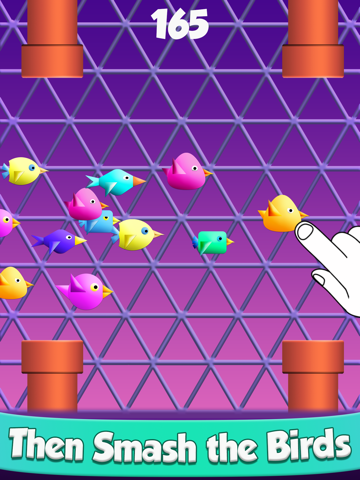 Cool Birds Game - Fun Smash screenshot 2