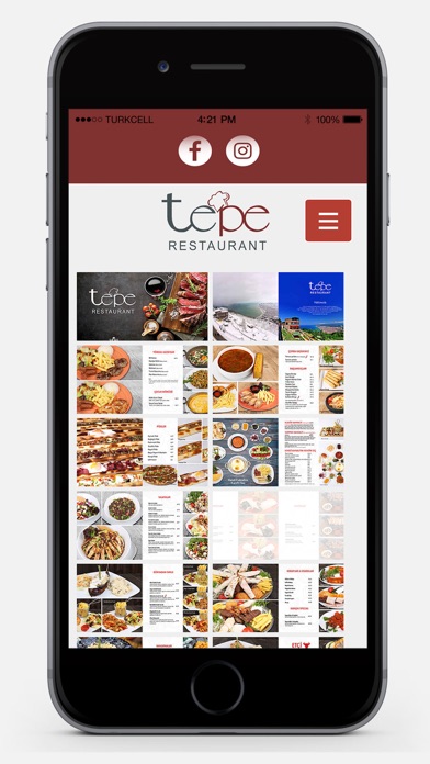 Tepe Restaurant screenshot 2