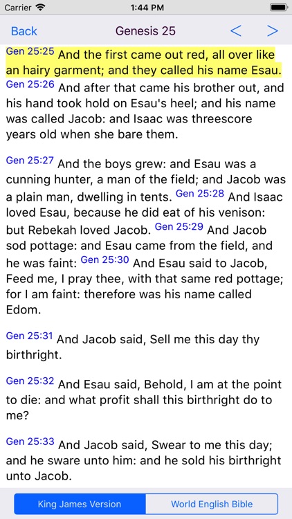 BibleDict screenshot-4