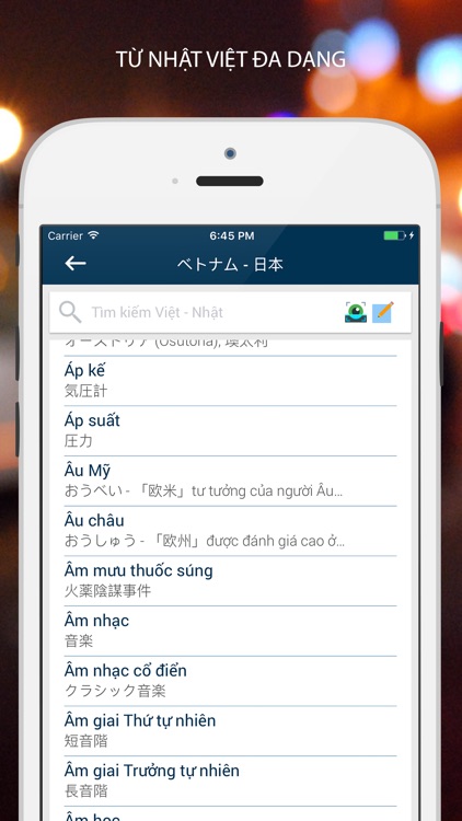 Từ Điển Nhật Việt - VDICT screenshot-4
