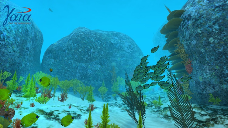 Coral Reef VR screenshot-3