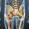 Sciatic Pain Relief