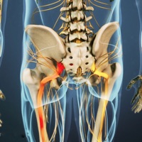 Sciatic Pain Relief pour PC