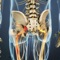 Sciatica is a very painful condition that effects millions of people around the World