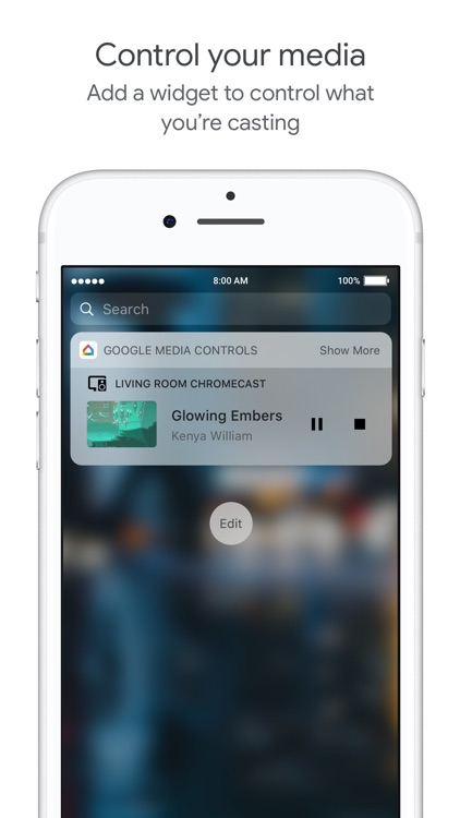 Google Home screenshot-6