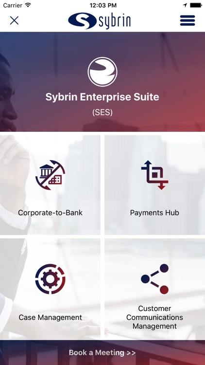 Sybrin