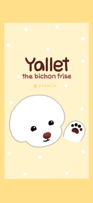 Yallet the bichon (taster)